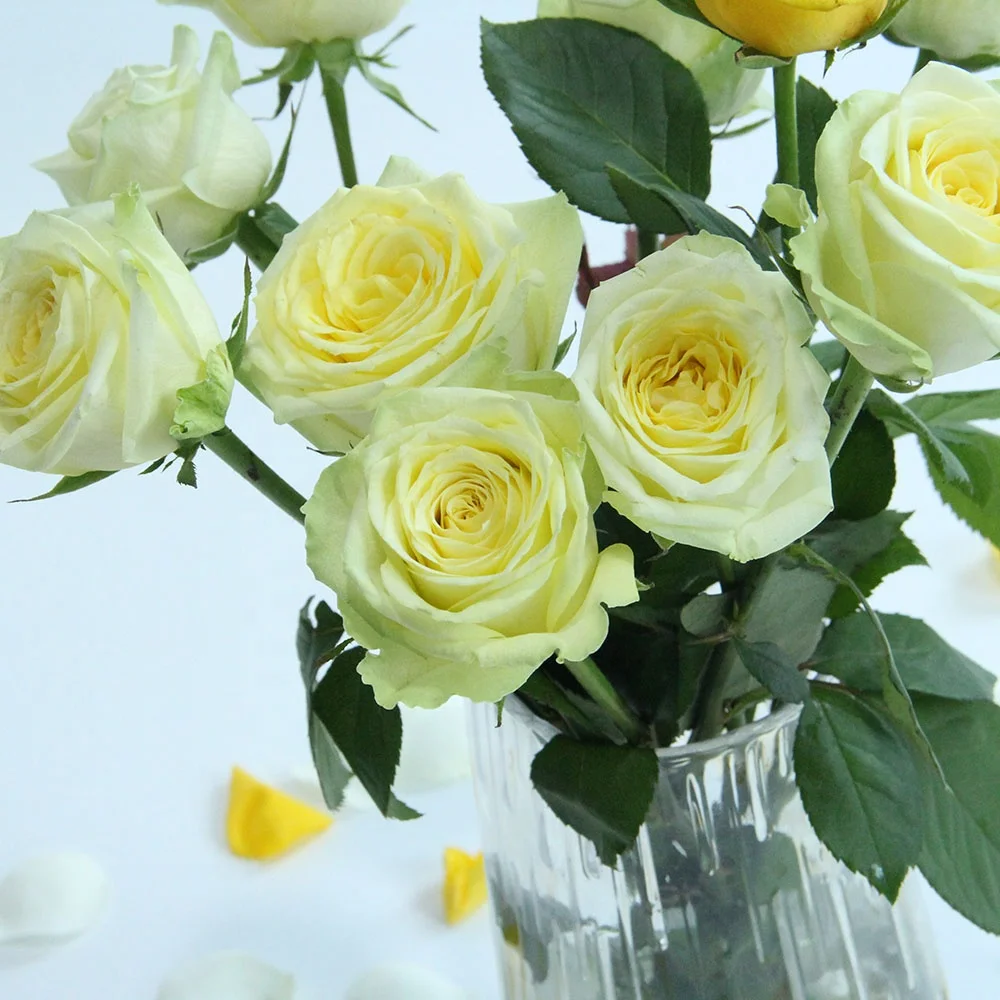 Competitive Price Home Wedding Decor Many Colors Flower Store Long Stem Natural Roses Fresh Cut Flowers