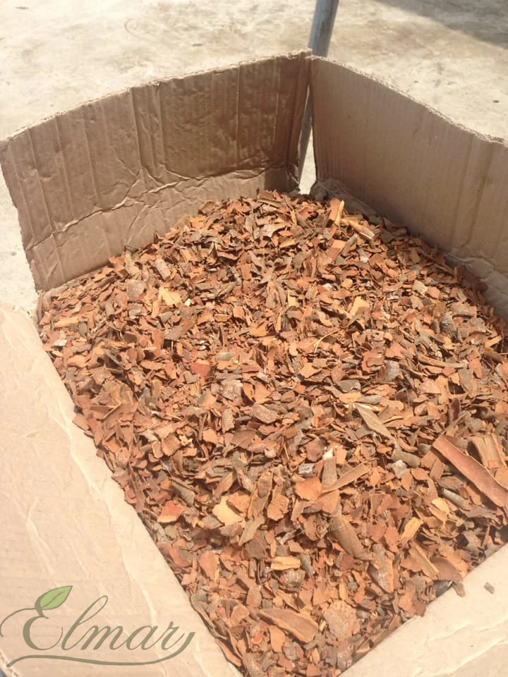 
BROKEN CASSIA PRICE IN VIETNAM KABC, KBBC 