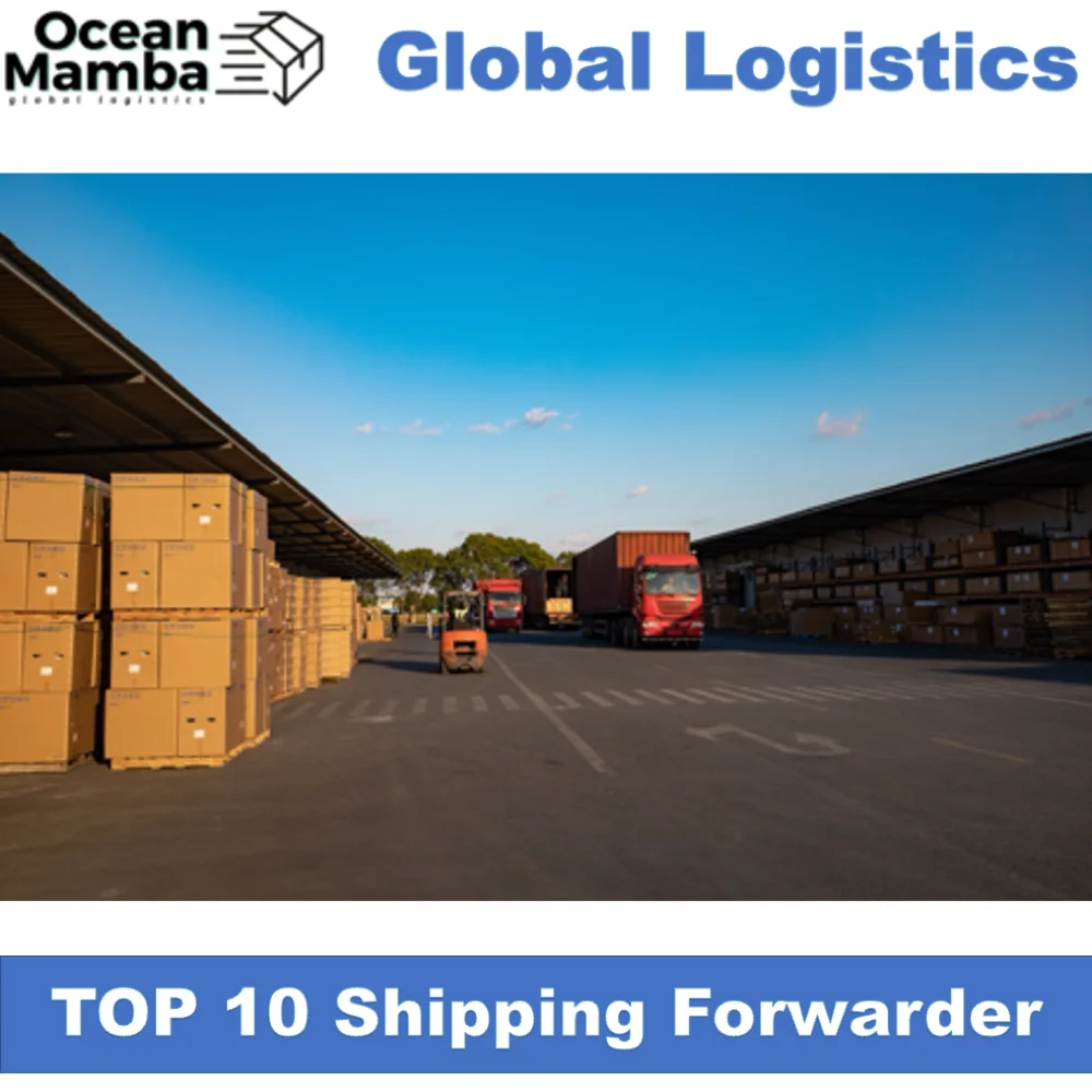 Ocean Mamba Canada Qatar south Africa Poland India shipping agent transporting cheapest international shipping