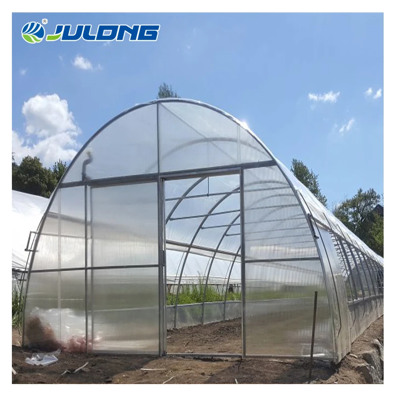 Single-span Green houses Grow Light Greenhouse For Bell Pepper Planting