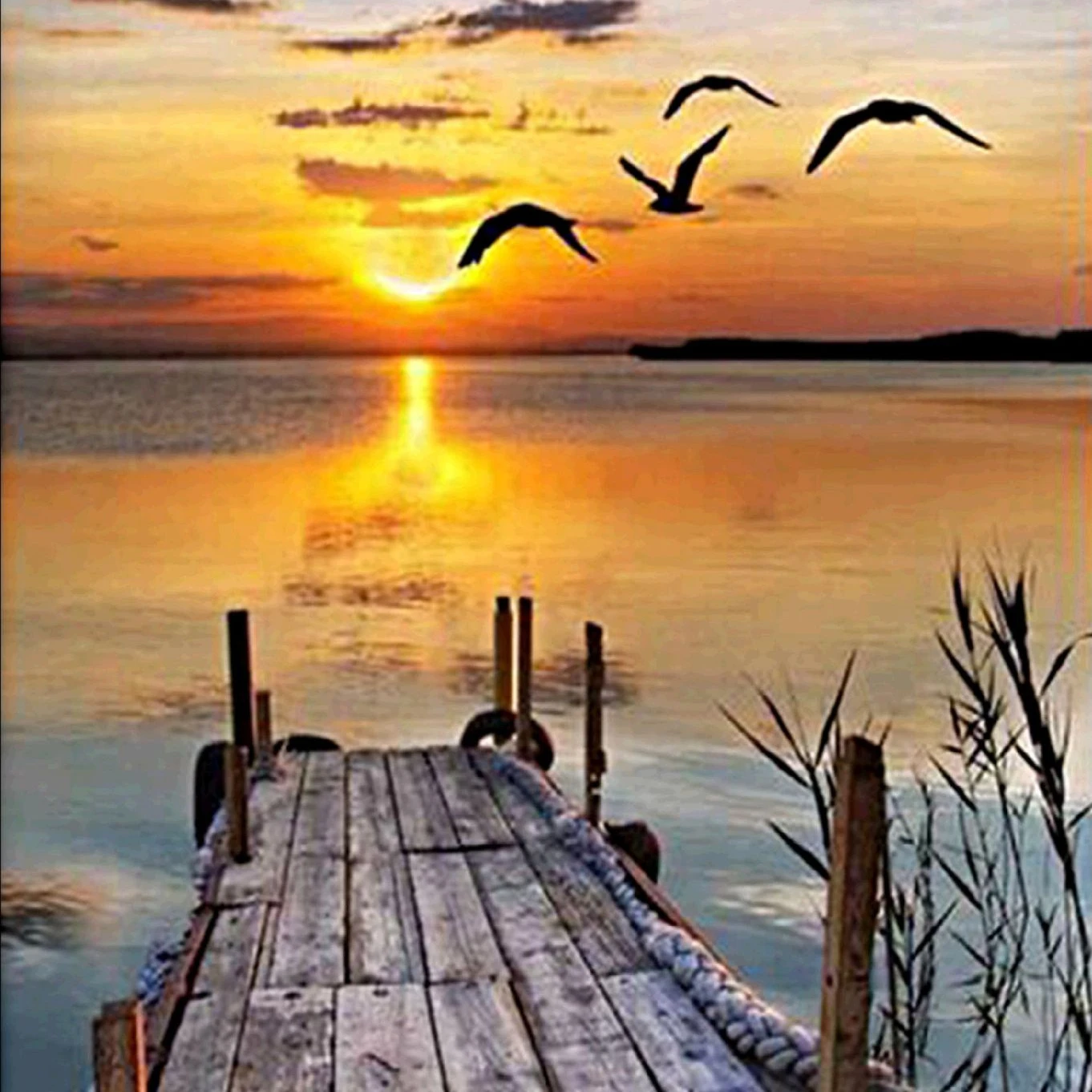 Factory Decor Diamond Paintings DIY Animal Landscape Wall Painting Canvas with Diamond Mosaic