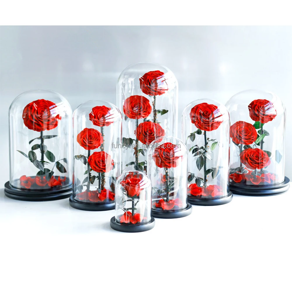 Factory Customized Wholesale Valentines Day Gifts Long Stem Glass Dome Belle Enchanted Preserved Forever Roses in Glass Dome