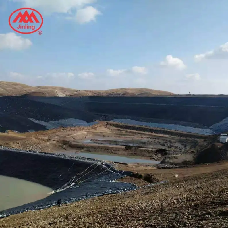 0.5Mm 0.75Mm Shrimp Pond Catfish Farm Liner 0.3-3.0Mm Geomembranes Geosynthetics Hdpe Pondliner