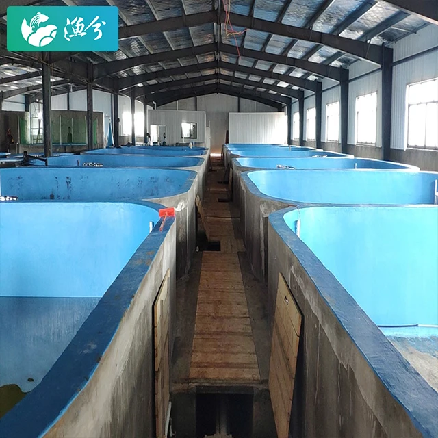 Superior quality fish farm aquaculture system 500 square meters circulating water seedling breeding system