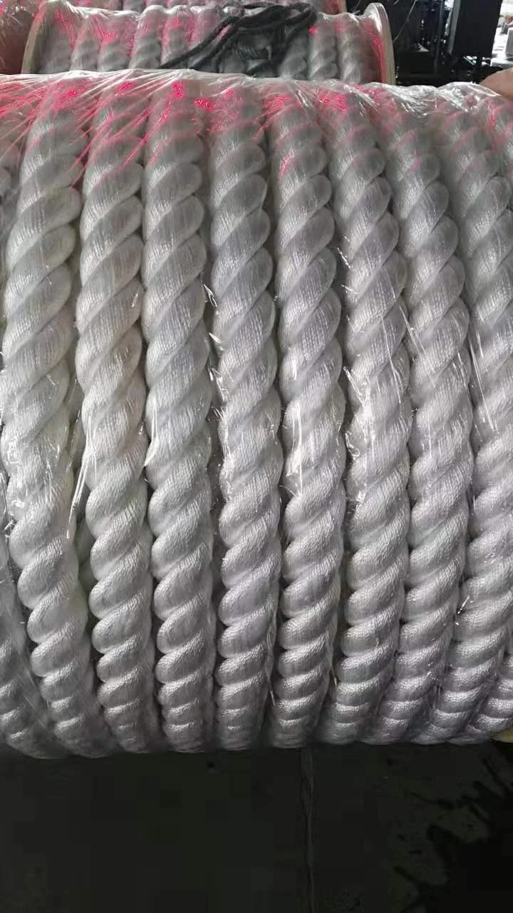  Белый Пограничный канат в крикете