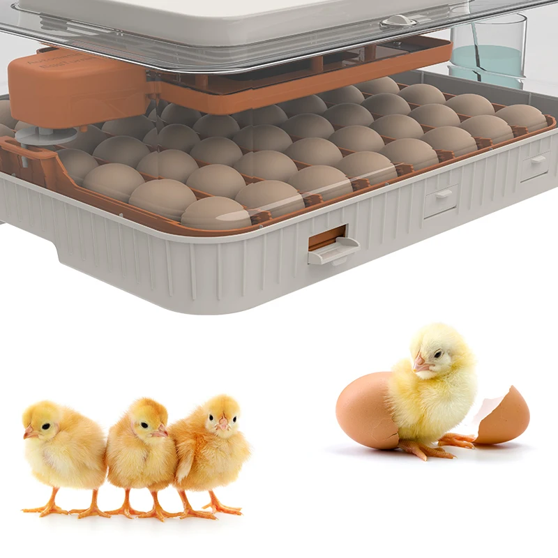 Новый продукт HHD WONEGG контроллер влажности 56H мини-Шейкер для яиц инкубатор курицы