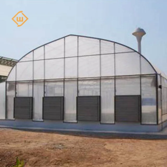 Hot-dip galvanized steel frame dome tunnel single-span greenhouse