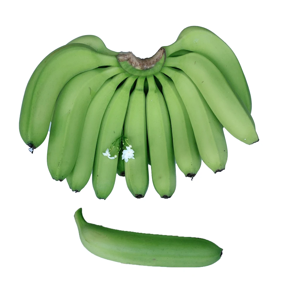 Organic Cultivation Type Hot Selling Best Brand Supplier Grade High Nutrition Top OEM ODM Service A456 Cavendish Banana