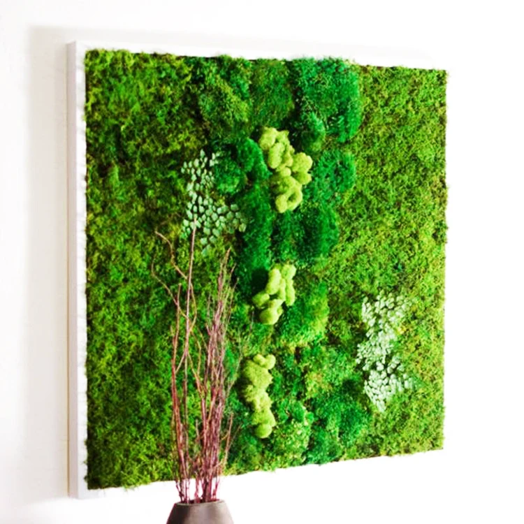 Fanxun artificial grass plant 3D wall decoration preserved green moss for vertical green wall decor