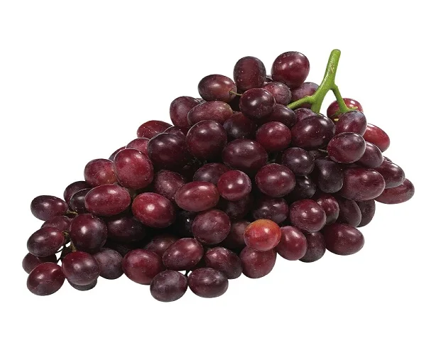 High quality fresh purple grapes