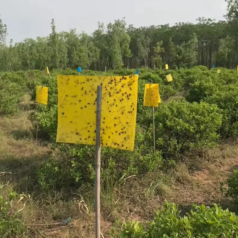 1000pcs Waterproof Laser Printing Paper Insect Glue trap 20x10cm