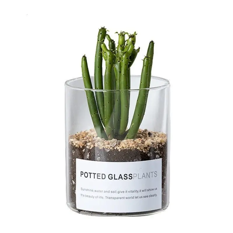 Various Sizes Clear Glass Vase Succulent Hydroponic Straight Pot Cactus Garden Bottle
