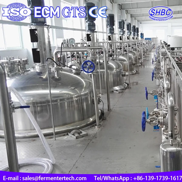 stainless steel industrial fermentor production line equip fermentation BLBIO-SJA