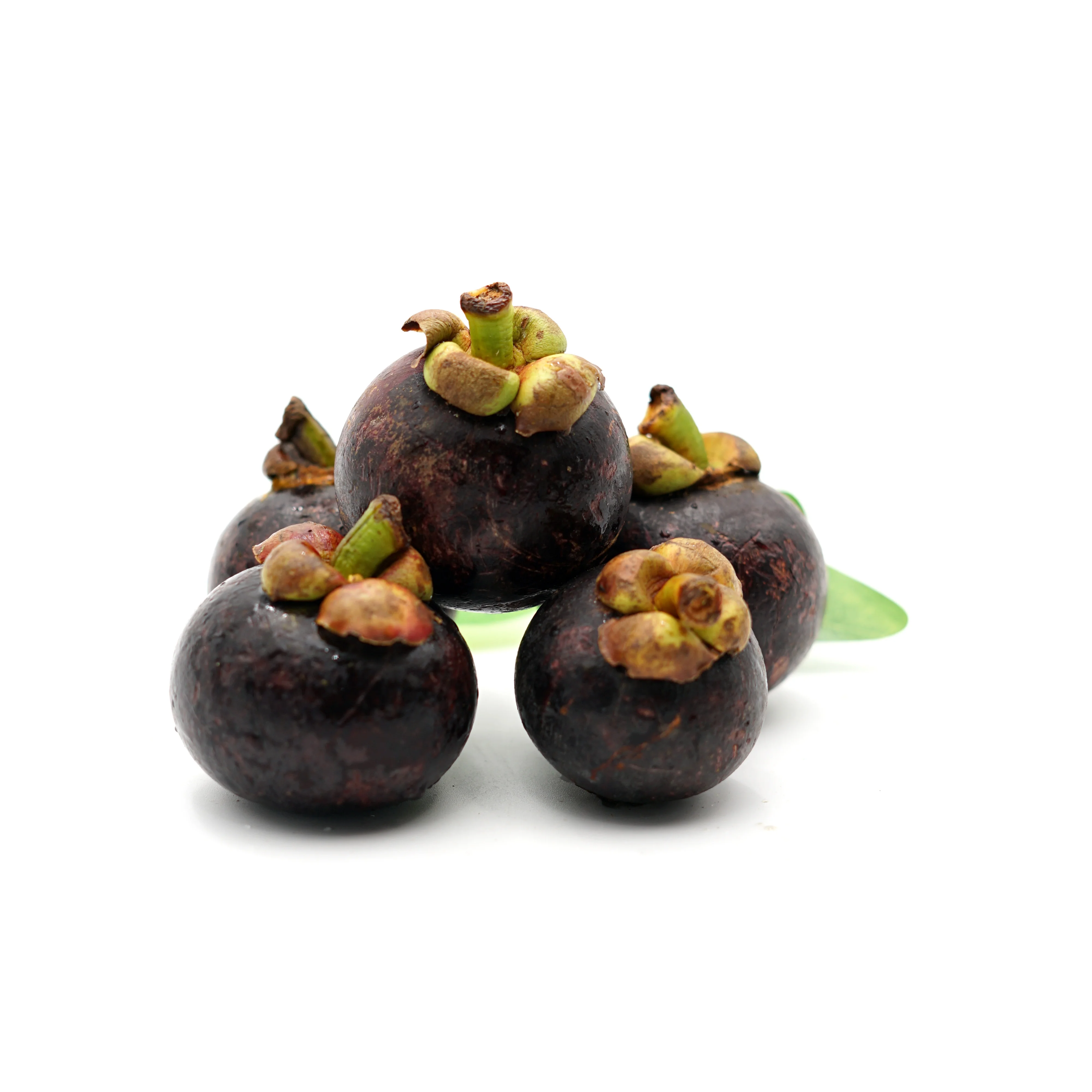 
Wholesale Fresh Mangosteen Natural Green With Export Standart 