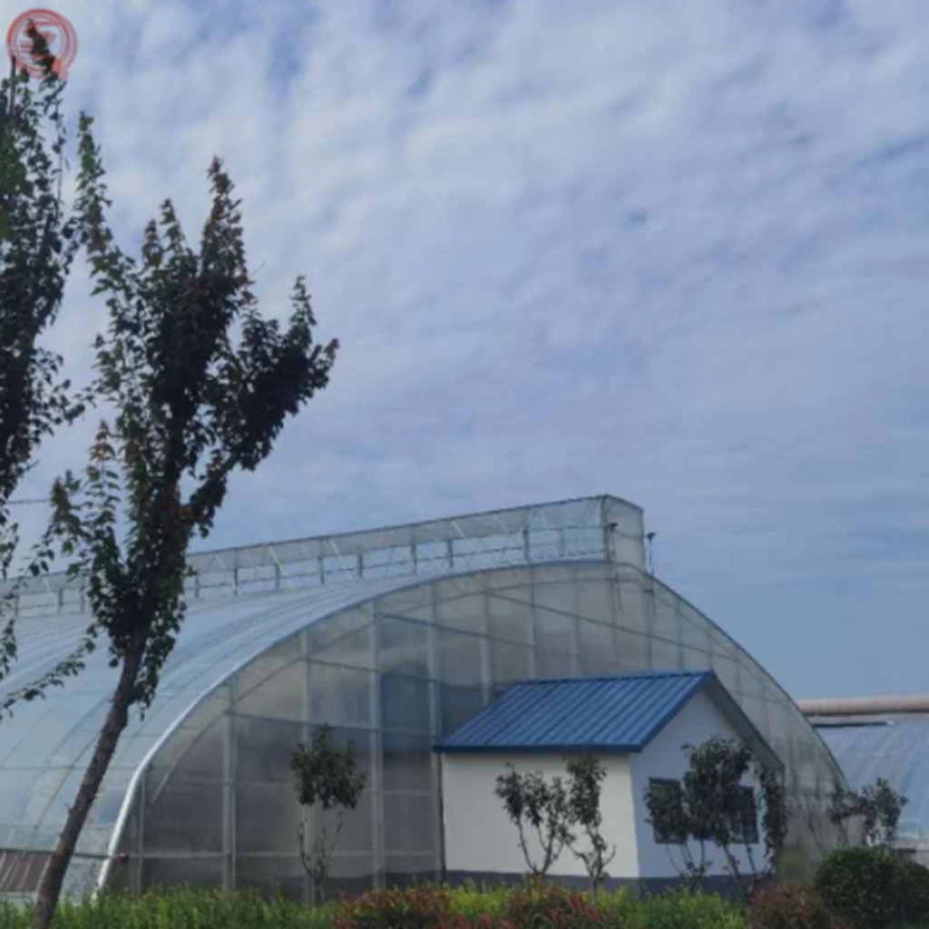 Shengqiang теплица с покрытием из туннельной Пленки Для помидор сетчатой