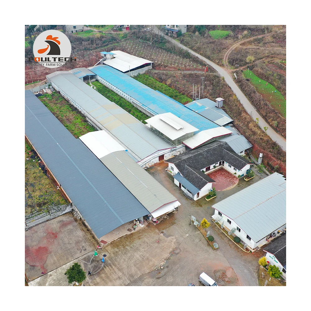 Птицефабрика птицефабрика с стальной рамой для 10000 цыплят