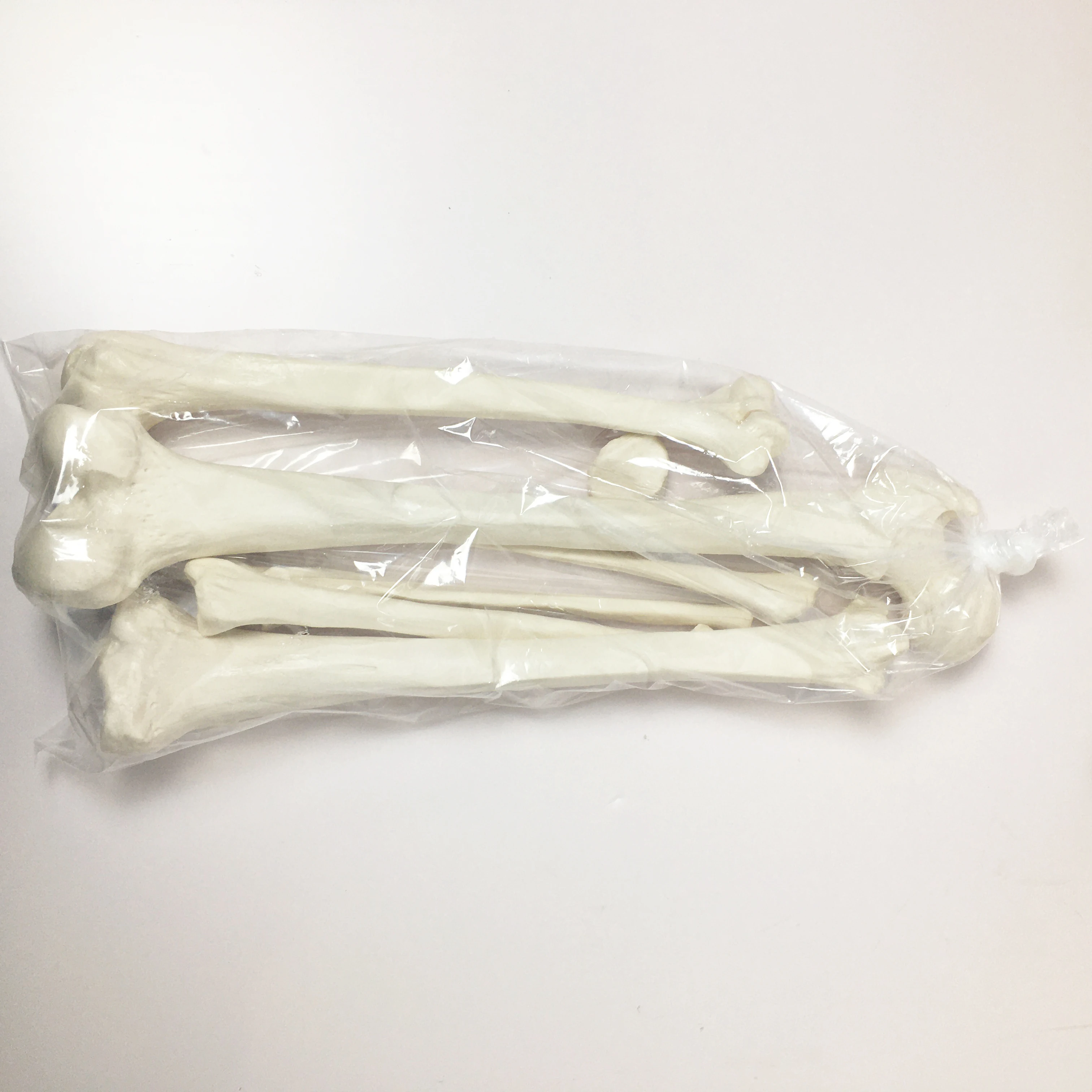 Hospital Medical PVC School Teaching Disarticulated Human Whole Body Scattered Bone Anatomy Skeleton Model With 3-Part Skull