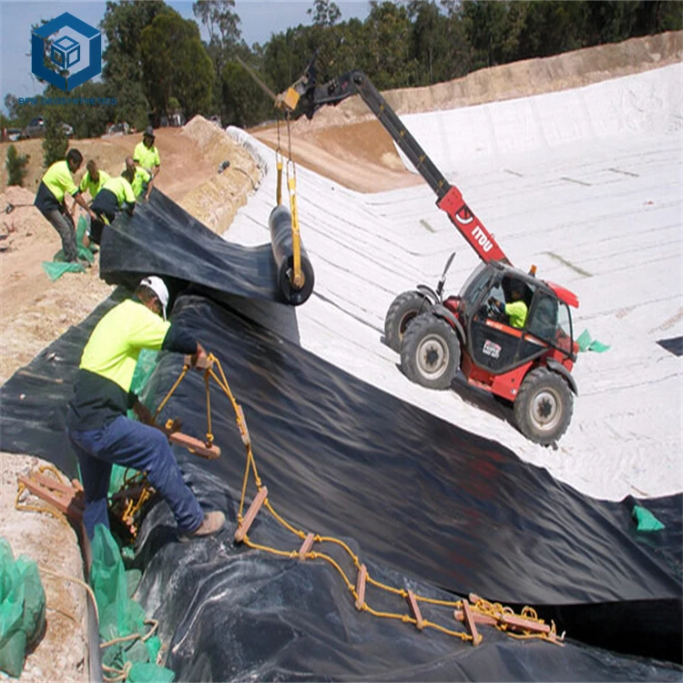 Double Tough Waterproofing Pond Geomembrane Sheet Price for Mining Project in Kenya