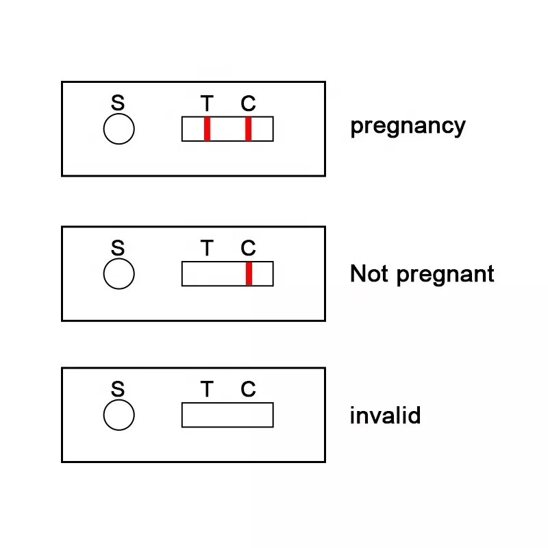 Great Farm High Quality  Medical Diagnostic Test Kits Sheep/ Cow Pregnancy Test Hcg Rapid Test Kit