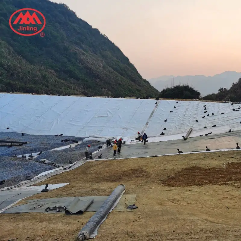 Impermeable Azolla Geomembrane Pondliners China Manufacturer Zhonglu