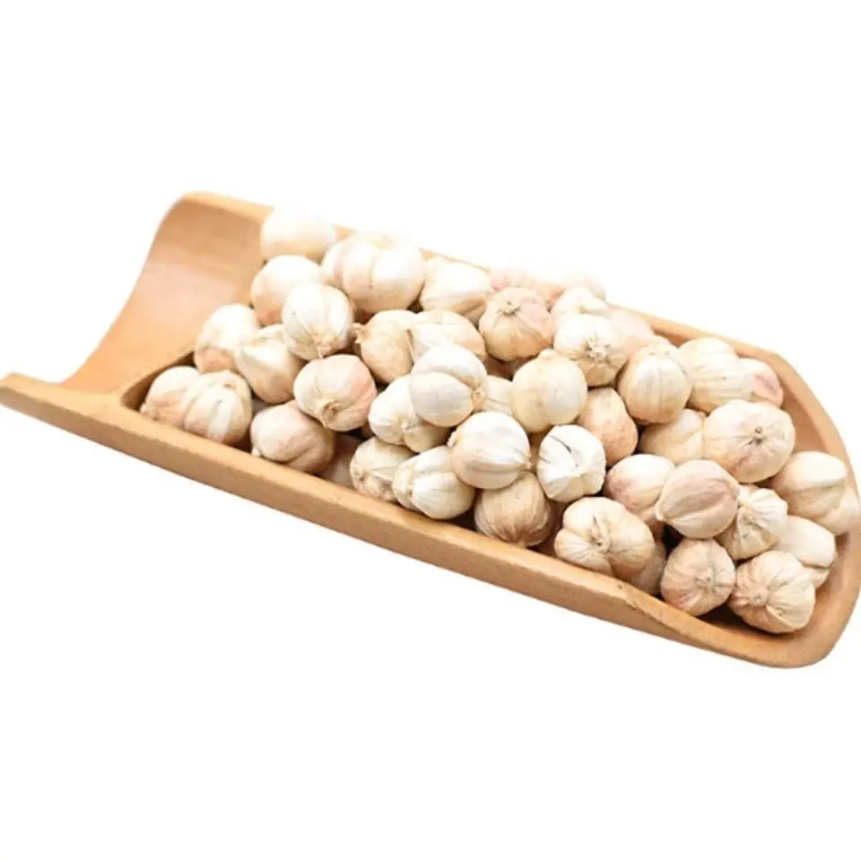 Spices Supplier Wholesale Price Whole Spice Cooking Seasoning High Quality Stock Dried White Cardamon