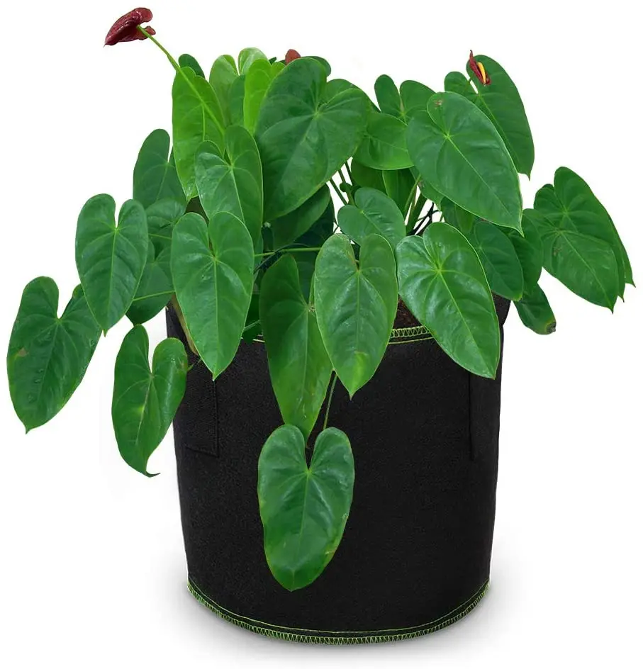 Good Quality  3 5 7 10 20 30 50 100 200 Gallon Planter Grow Bags Fabric Plant Grow Pots Garden Potato Felt Grow Bags