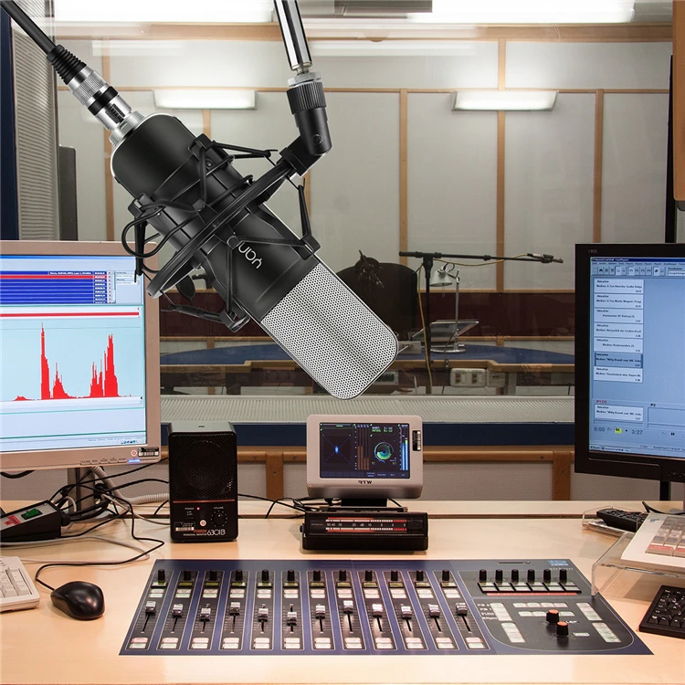 Wholesale Oem Gooseneck Microphone Xlr Vocal Studio Recording Equipment Microphone