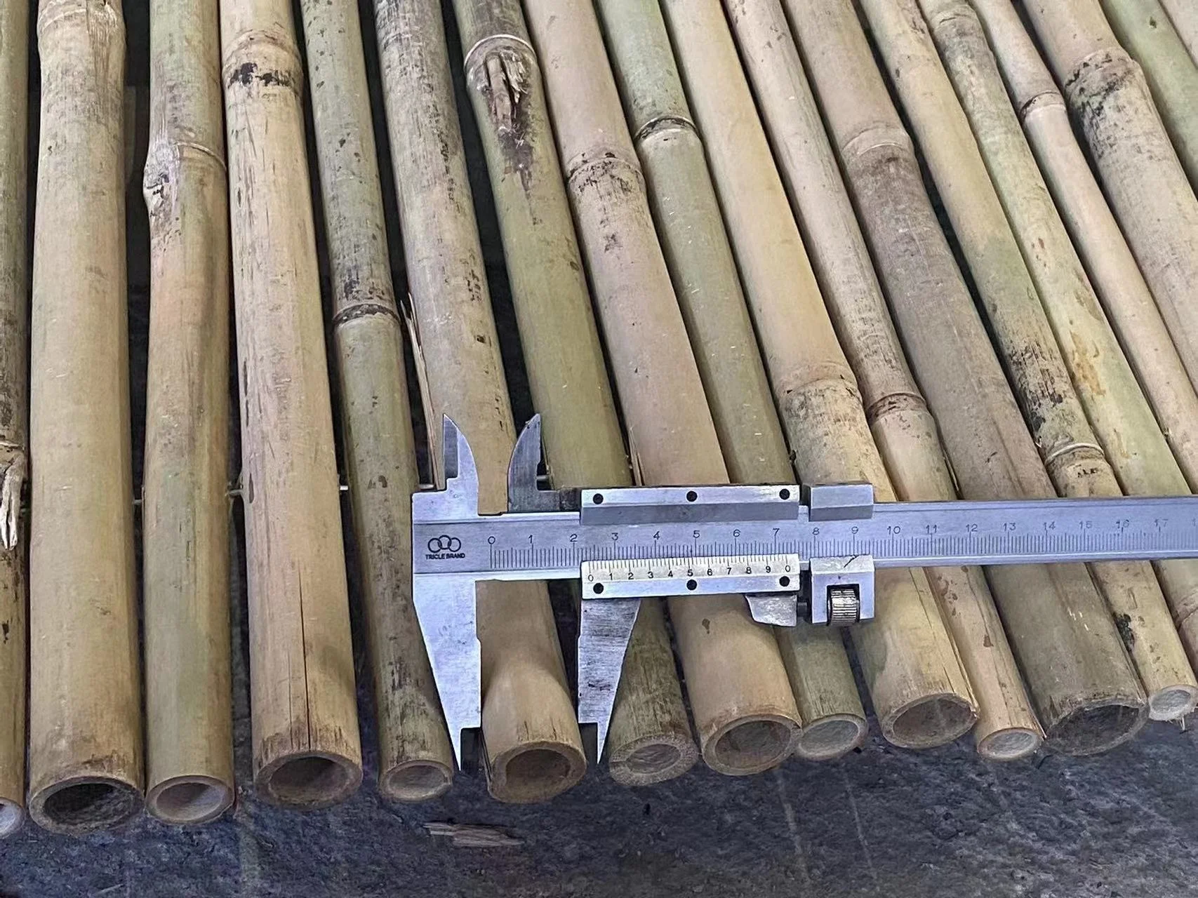 Natural straight bamboo stake Tonkin bamboo cane Guangdong original for planting