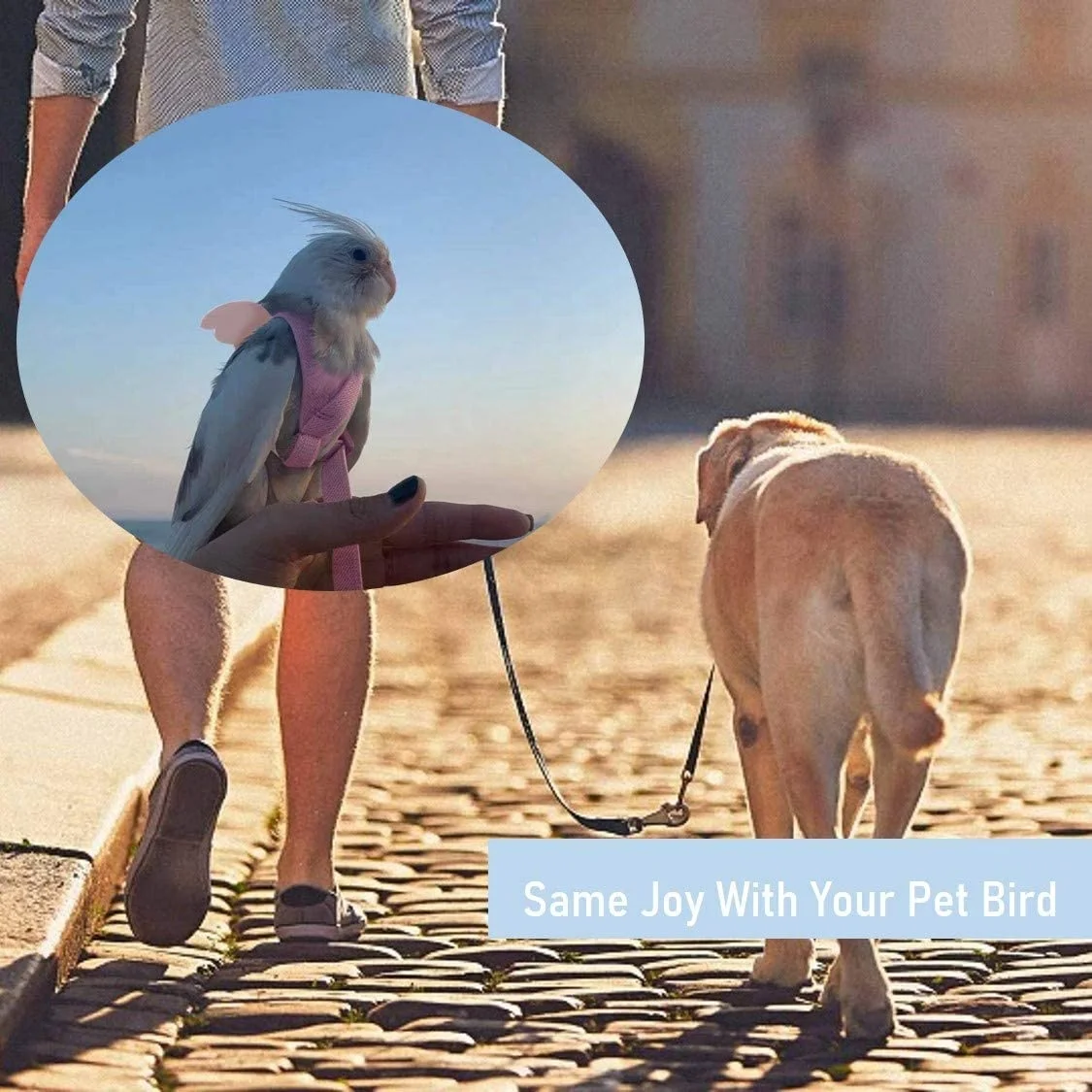 Adjustable Bird Harness Leash Parrot Flying Rope Straps Outdoor Training Traction Rope for Small Parrots