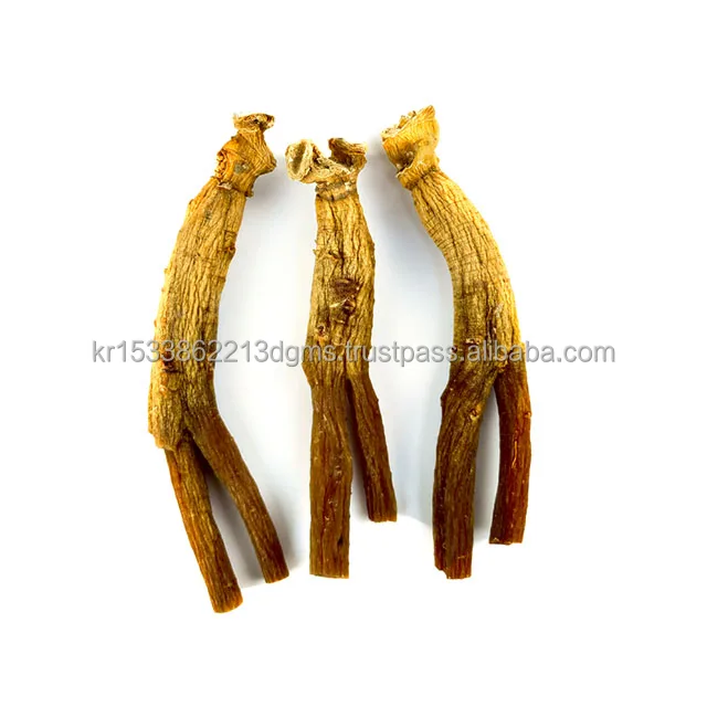 
The Best Authentic Korea Red Ginseng Healthy Immunity Korean Insam Root 