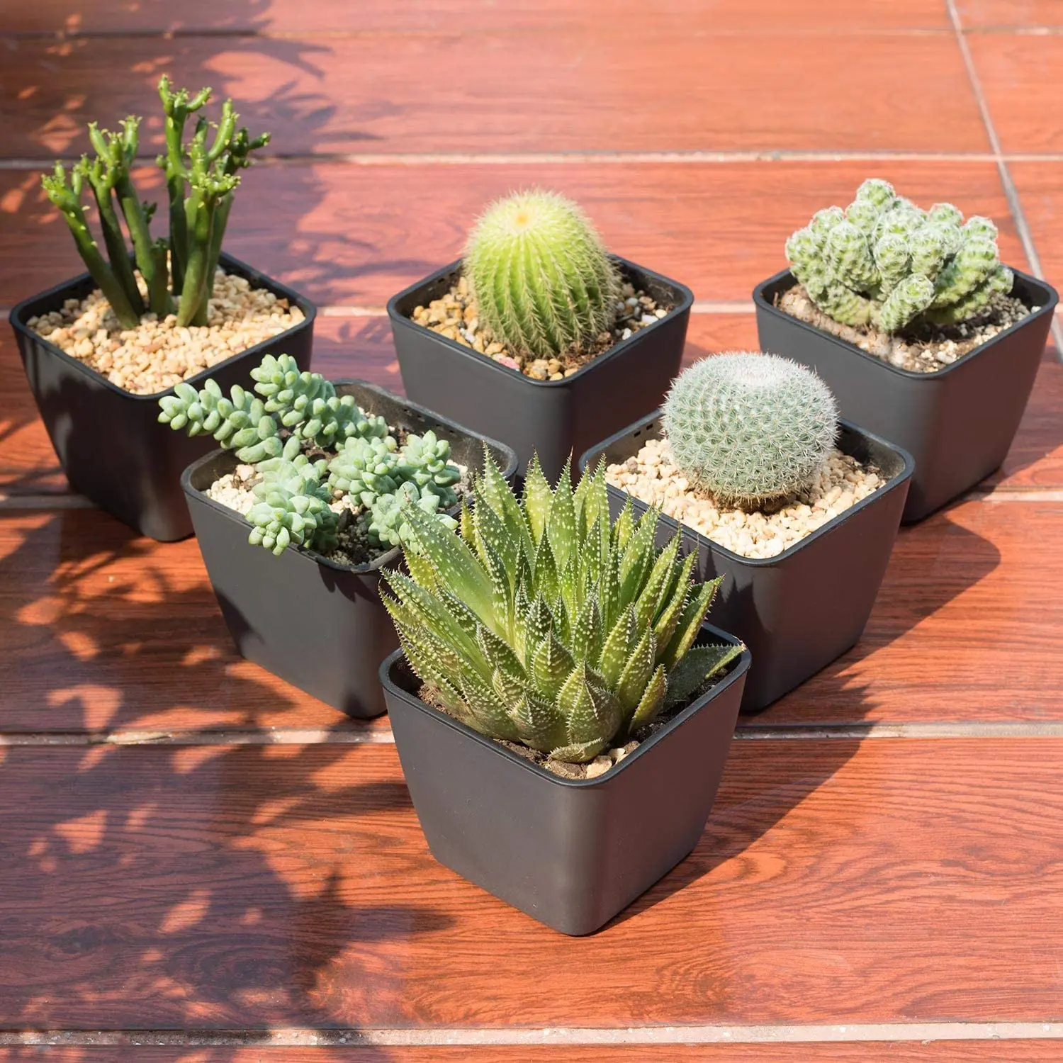 Decorative Garden Cheap Plastic Pots For Home and Garden