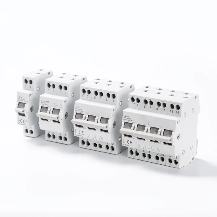 SF219G 2P 40A Din Rail Mounted Dual Power Conversion Isolation Switch MTS Manual Transfer Switch Changeover Switch 63A 80A
