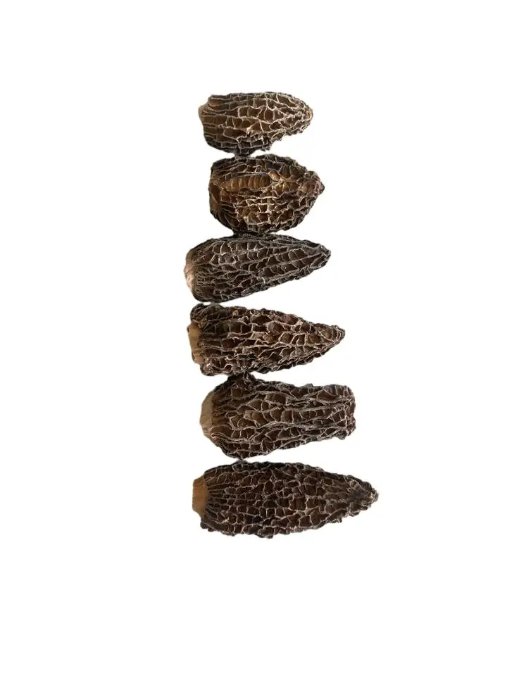 Haoyuan morel mushroom high-quality dried mushroom 2-5cm,mushrooms & truffles