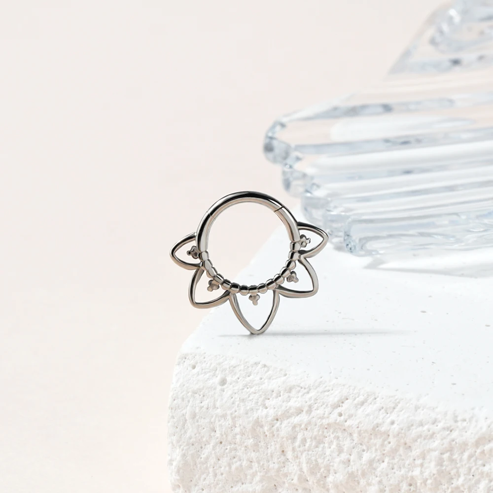 ASTM F136 Titanium CZ Cluster Hinged Segment Clicker Septum Rings Implant Titanium Nose Piercing Jewelry Labret Stud Navel Ring