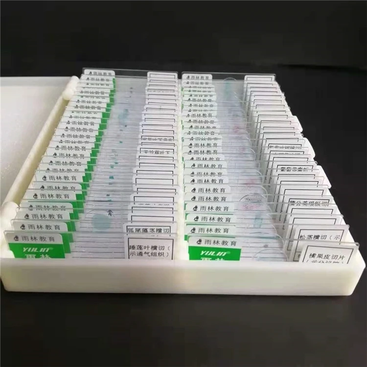 Factory Lab 50 Pcs / Set Human Animal Histology Prepared Slides Glass Microscope for Teaching in Plastic case