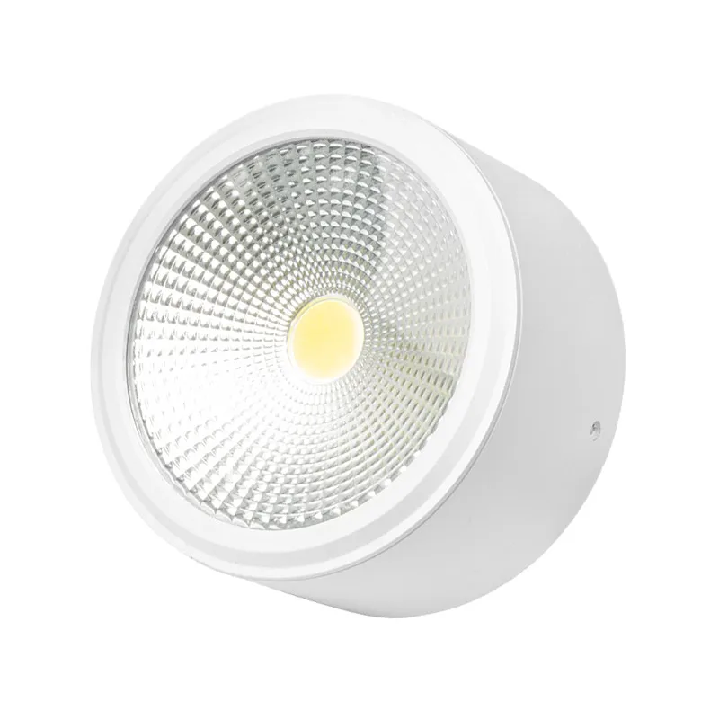 New High Quality Hotel Downlight With Dali Driver Surface Mounted Recessed Cob Led Downlight
