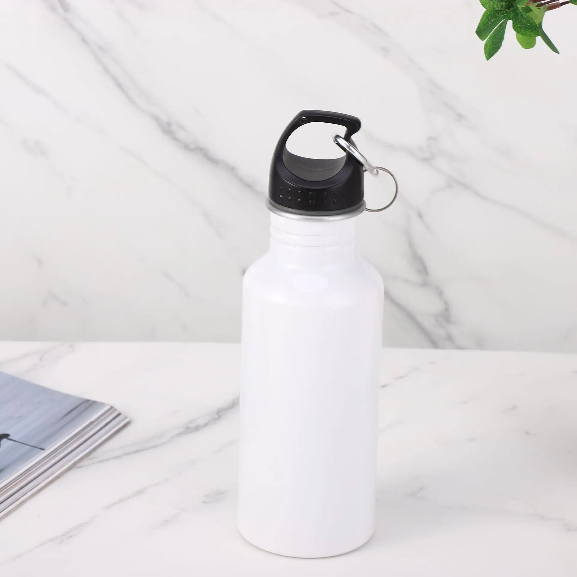 Bpa Free 500 ml 750 ml High Quality Outdoor Sport Aluminum Water Bottle With Carabiner