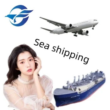 Logistics Companies Forwarding Agent Sea Freight International Rates China Air Shipping Agent
