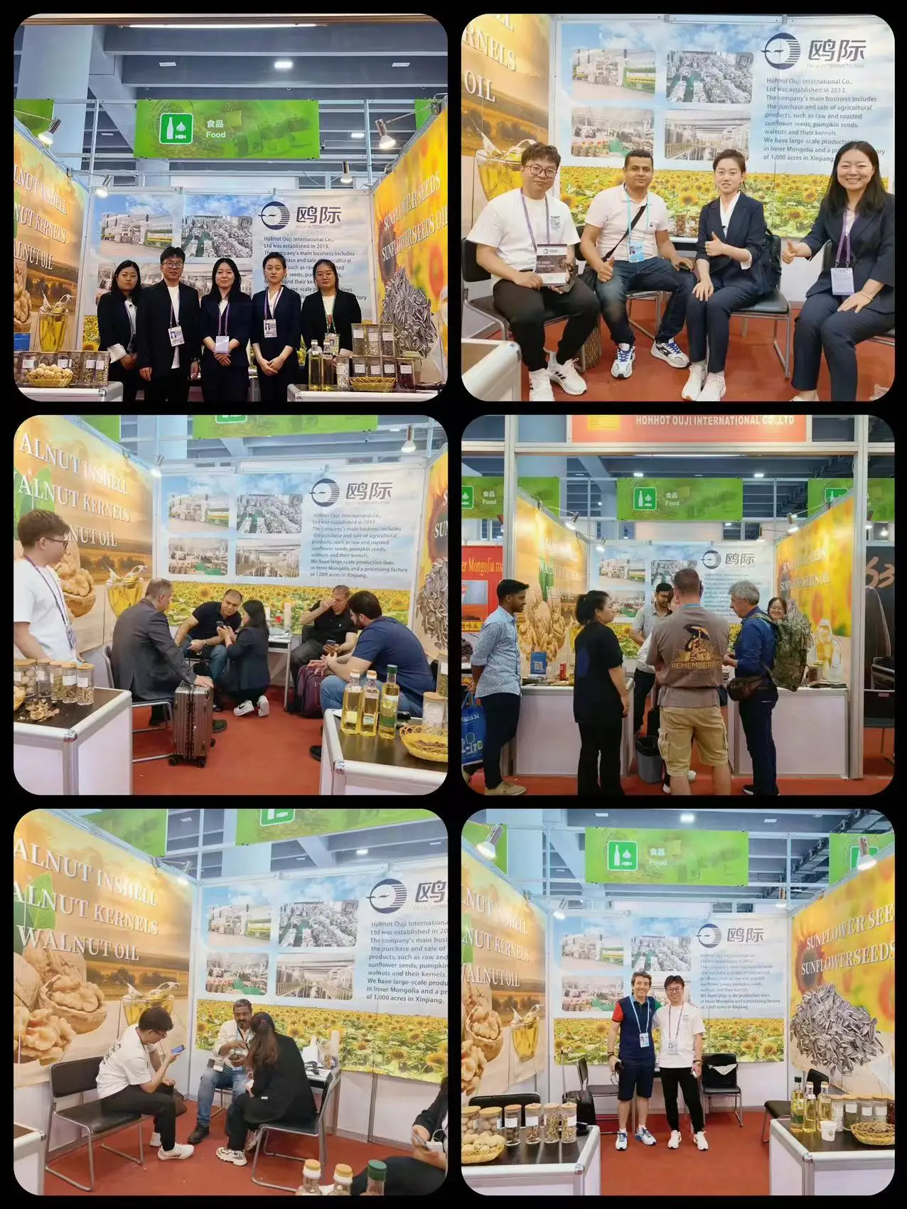 Sunflower Seeds 601 361 363 T6 Sunflower Seeds wholesale for Birds sunflower seeds ton price