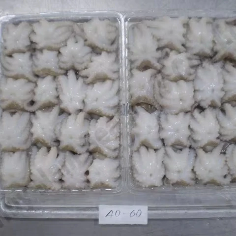 Hot sale 2024 new processing  cooked baby Octopus Octopodidae  frozen baby octopus