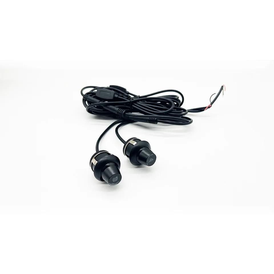 Auto Universal Angel Wing Carpet Light LED Courtesy Projector Light Projector Door Step Light