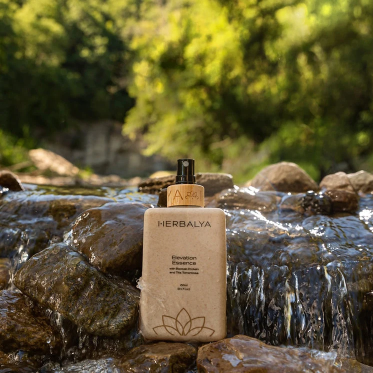 High Quality Bamboo Wheat Straw Soft Tube Recycled Glass Cosmetic Packaging Wooden & bamboo wheat straw bottle