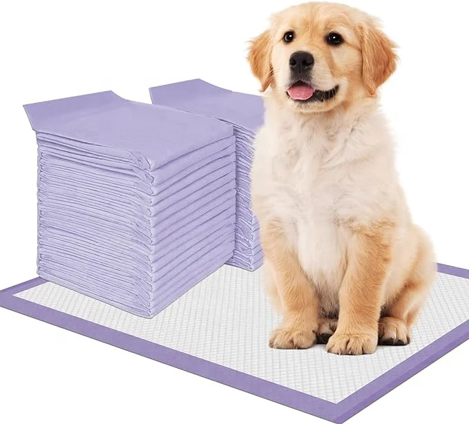 Factory Outlets Disposable Puppy Pet Dog Training Incontinence Sleeping to pee Under pads Rolls 45x60 Leak-Proof for Pets dogs