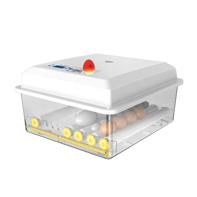 Household 12&220V plastic small size 6 zambia egg incubator with turer motor
