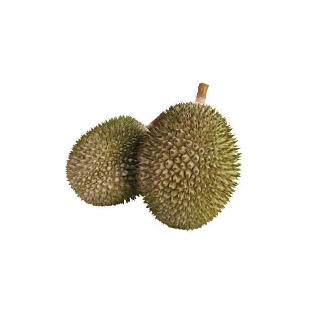 Premium Quality Malaysia Best Selling Fresh Durians IOI AA D168 from Top Malaysia Durian Fruit Supplier HALAL