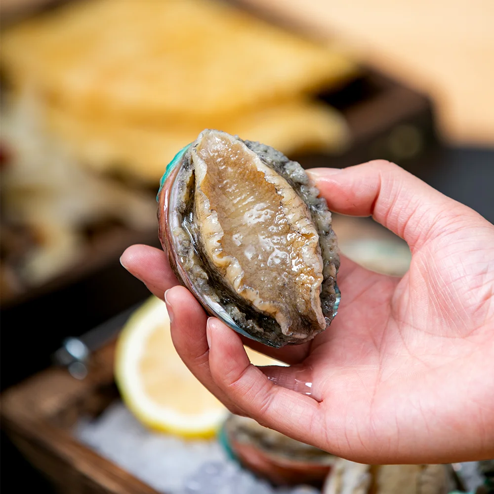 
Captain Jiang FROZEN ABALONE IN SHELL 70-80g/PCS FOR SALE 