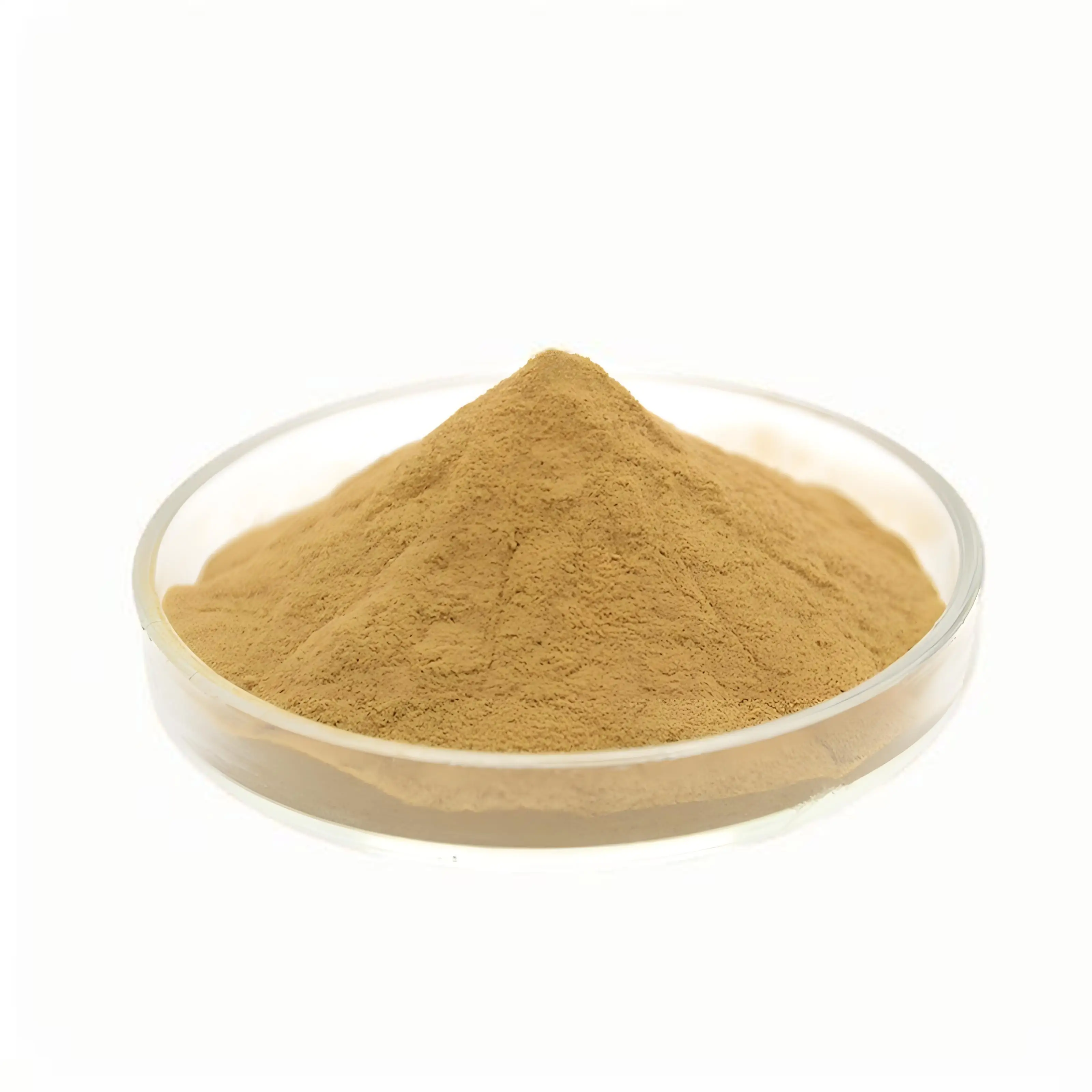Glycyrrhiza Top-ranking products Glycyrrhiza Root Extract
