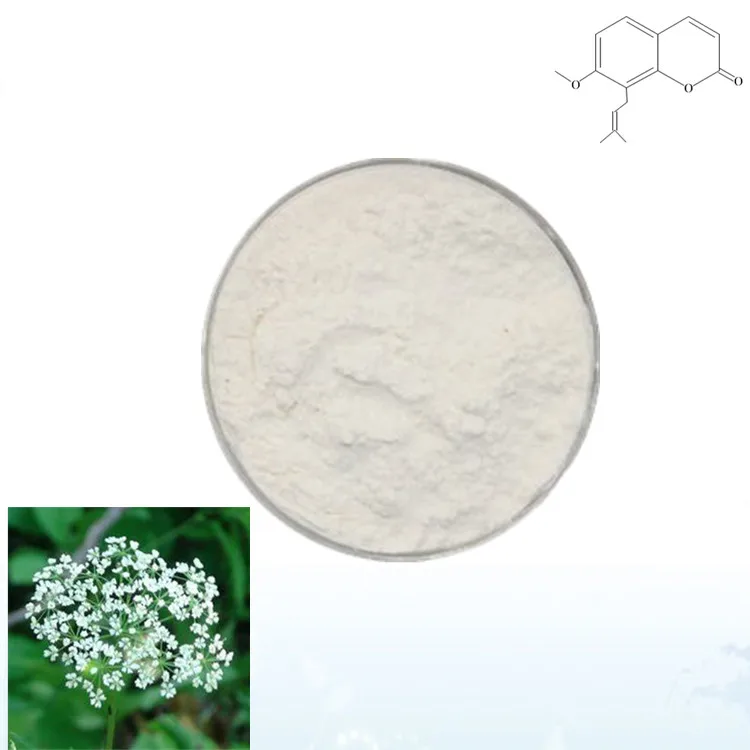 Increase Sperm Secretion Functional Common Cnidium Fruit Extract  484-12-8 Osthole 98%