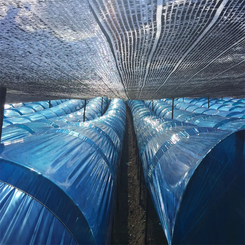 Chinese factory sells outdoor UV protective sunshade net with rubber ring waterproof sunshade net