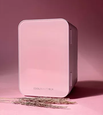 
Портативный 4L мини-холодильник DC12V AC110V уход за кожей холодильник с морозильной камерой 